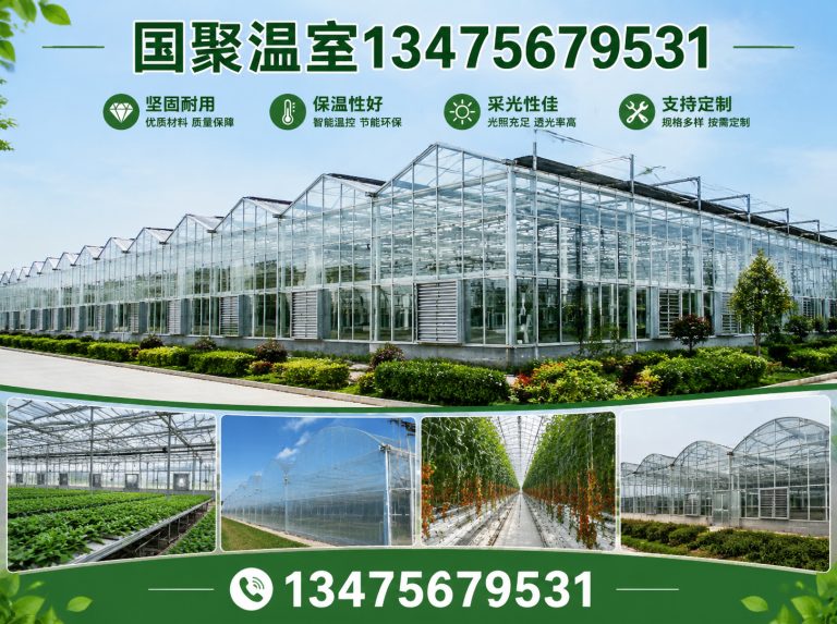 潍坊滨海经济技术开发区连栋薄膜温室展示图