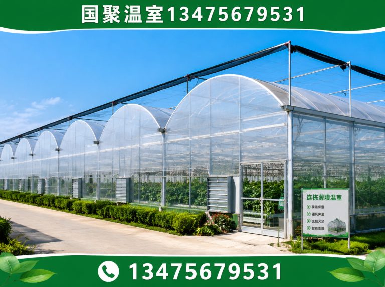 潍坊滨海经济技术开发区温室大棚厂家展示图